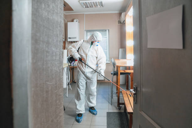 Best Air Quality Testing for Mold Spores  in Reynoldsburg, OH