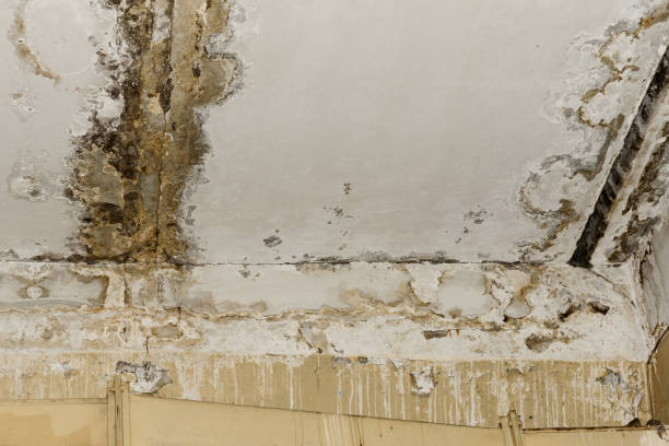 Best Post-Construction Mold Inspection  in Reynoldsburg, OH