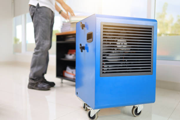 Best Mold Remediation for Rental Properties  in Reynoldsburg, OH